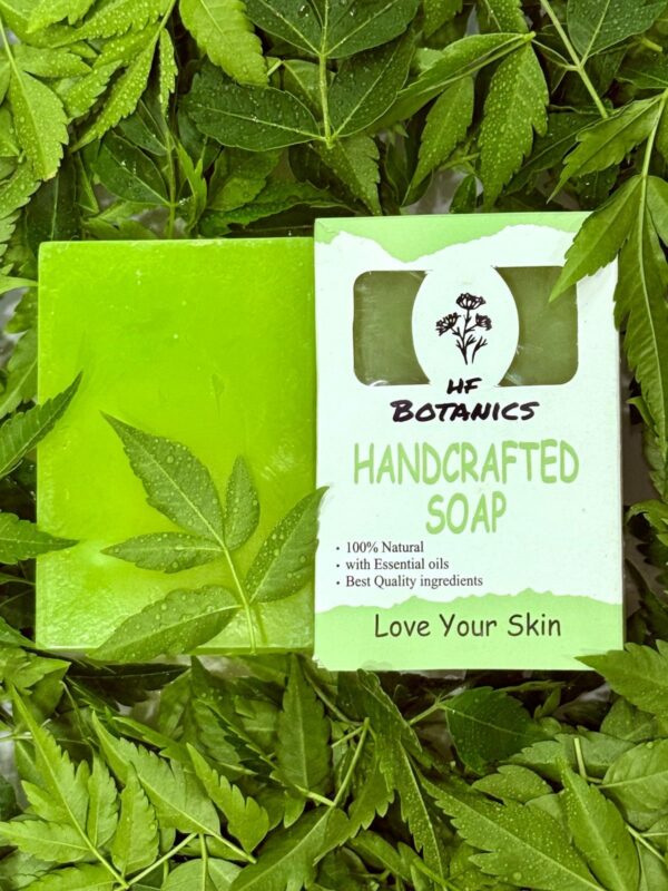 Hf botanics anti acne neem soap
