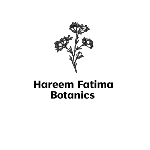 chatgpt image mar 6, 2026, 09 27 00 pm